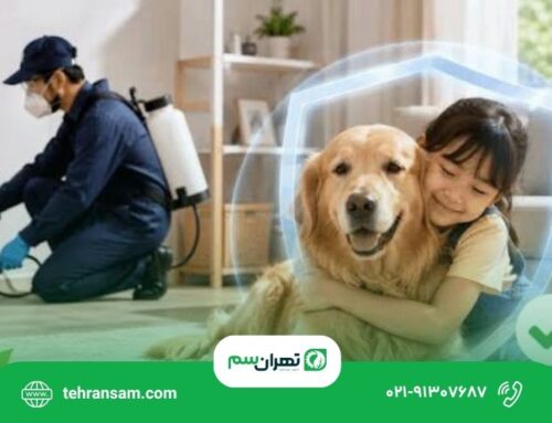 آیا سمپاشی برای کودکان و حیوانات خانگی خطر دارد؟