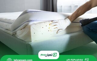 ساس در هتل و پانسیون_های تهران؛ راهنمای مدیران برای پیشگیری