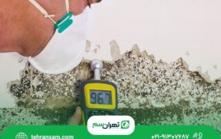 سوسک_ها کجا لانه می_کنند؟