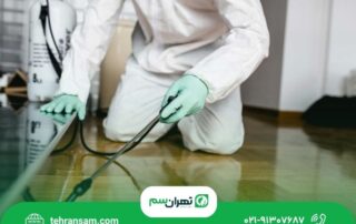 هزینه سمپاشی منزل در تهران چقدر است؟ عوامل مؤثر بر قیمت